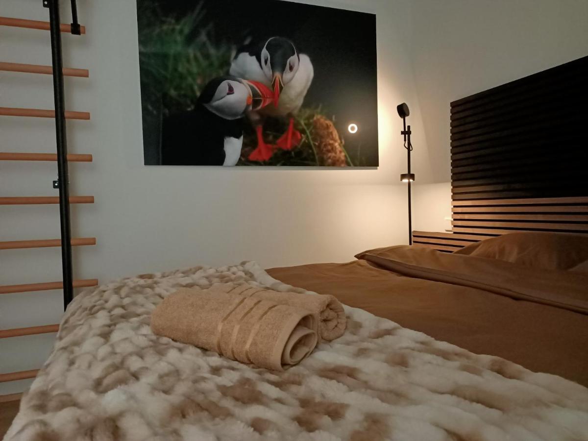 Puffin Nest, Superior Apartment Reykjavík Exterior foto